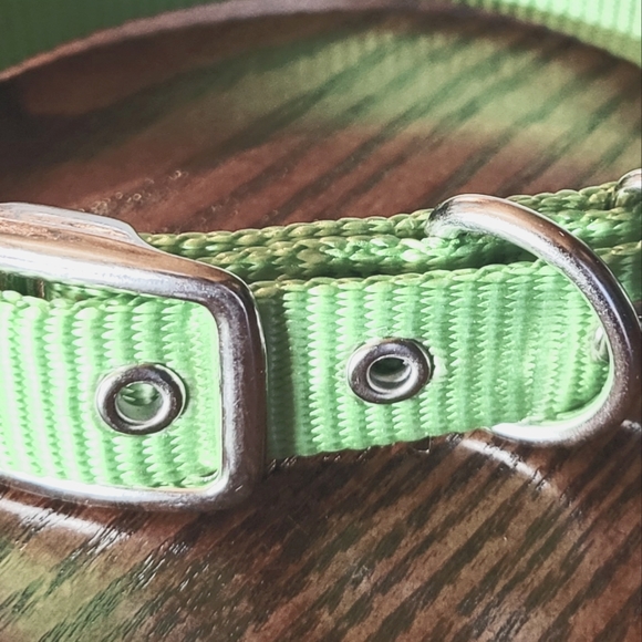 2 /$15 New Hamilton Nylon Deluxe Dog Collar Metal Buckle Sz 18 Lime - Picture 6 of 6